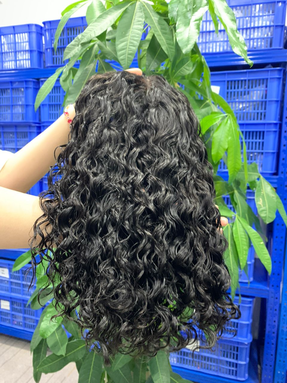 12 inch Water Wave 13x4 HD Raw Human Hair Frontal wigs - FASHION VIBES