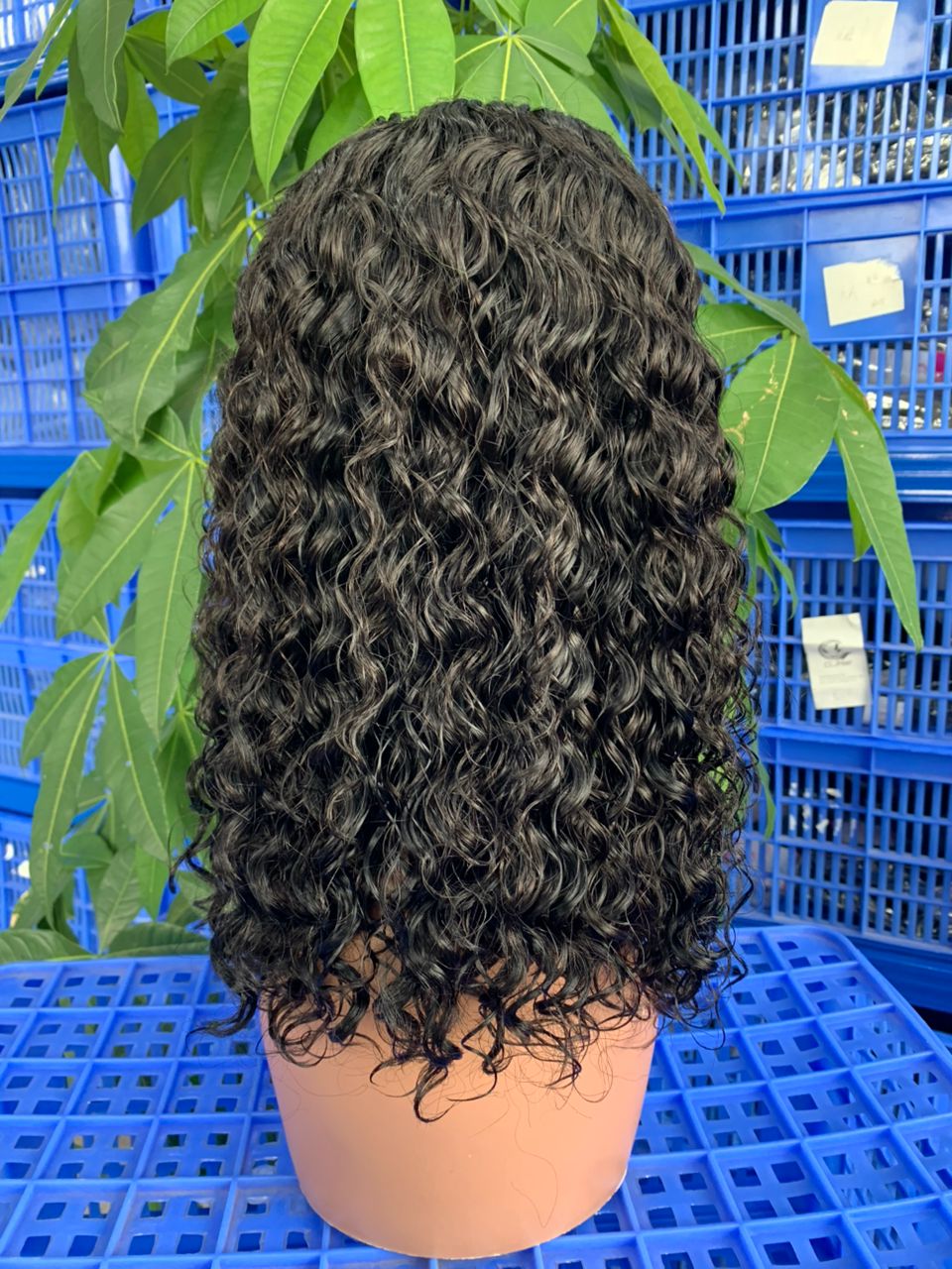 12 inch Water Wave 13x4 HD Raw Human Hair Frontal wigs - FASHION VIBES